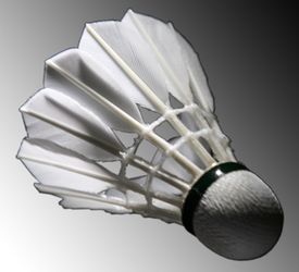 Neue Teams haben sich gut eingefügt und hatten Spaß