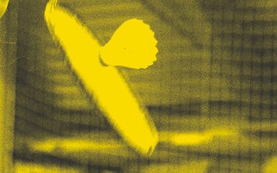 Thementag Safe Sport – Jetzt anmelden!