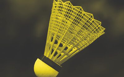 Weltoffene Gastfamilien für 3 Badminton-begeisterte Austauschschüler gesucht!